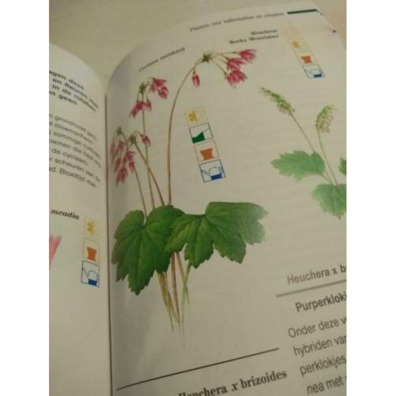 Boek tuinplantengids rotsplanten
