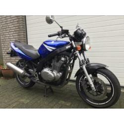 Suzuki gs500 (A2)