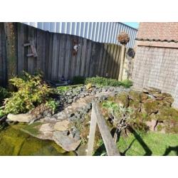 Gratis Complete vijver incl. Pompen, filter, waterval, lavas