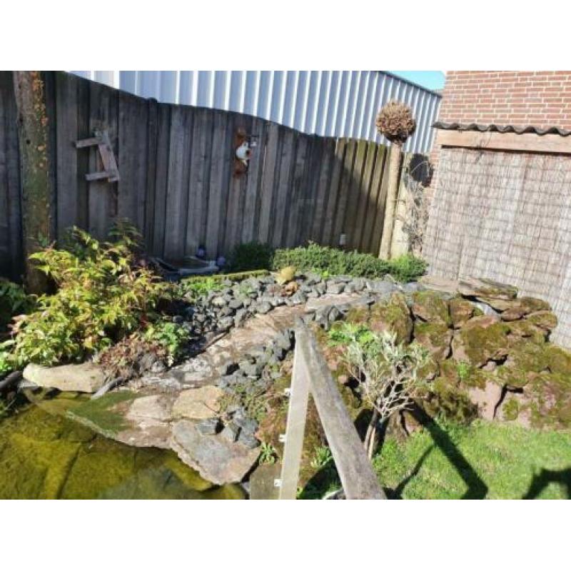 Gratis Complete vijver incl. Pompen, filter, waterval, lavas