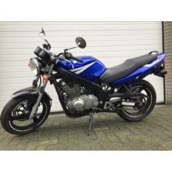 Suzuki gs500 (A2)