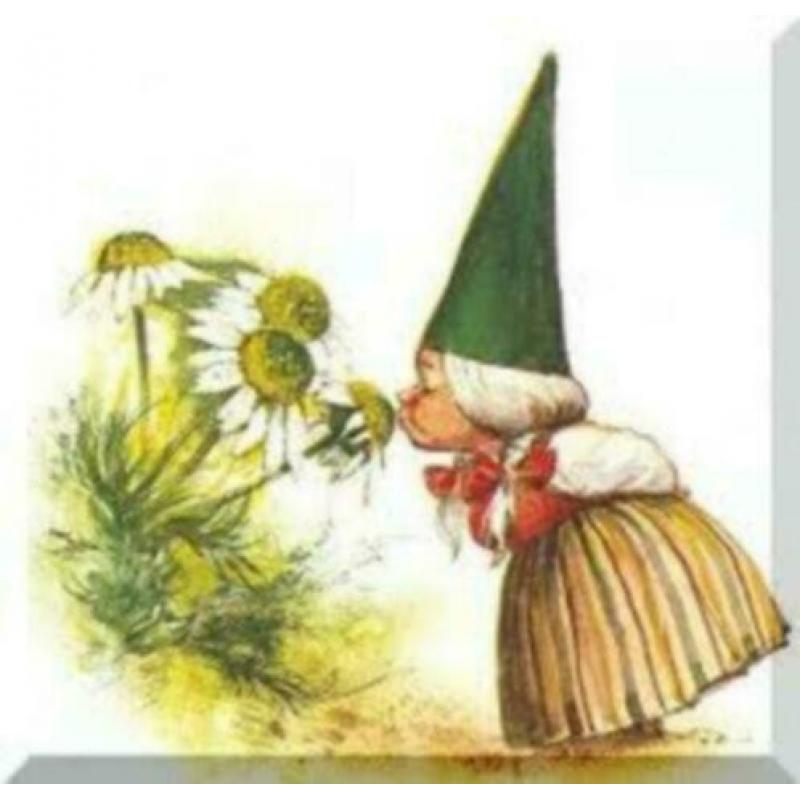 De oproep der Kabouters van Rien Poortvliet (2000)