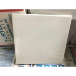 RESTPARTIJ,wandtegels1-ste keus20x20cm glans €13.25 INCLBTW