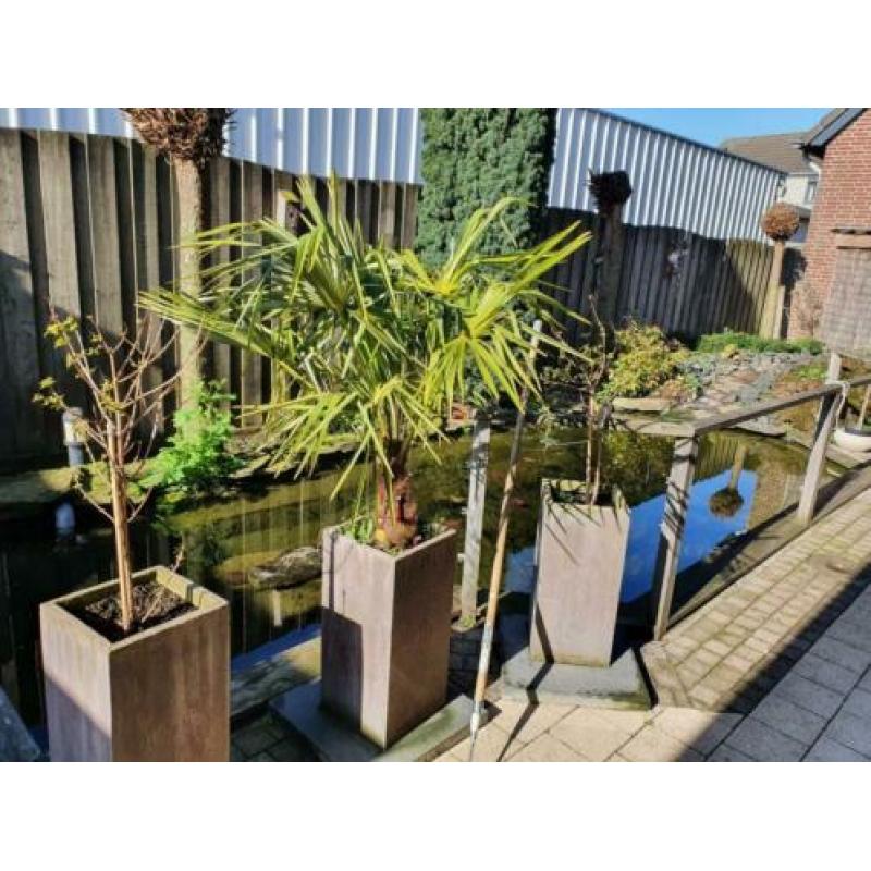Gratis Complete vijver incl. Pompen, filter, waterval, lavas
