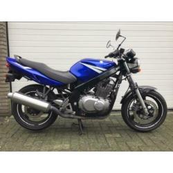 Suzuki gs500 (A2)
