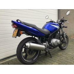 Suzuki gs500 (A2)