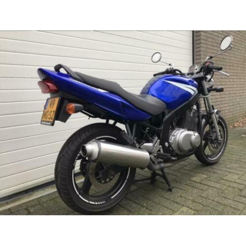 Suzuki gs500 (A2)