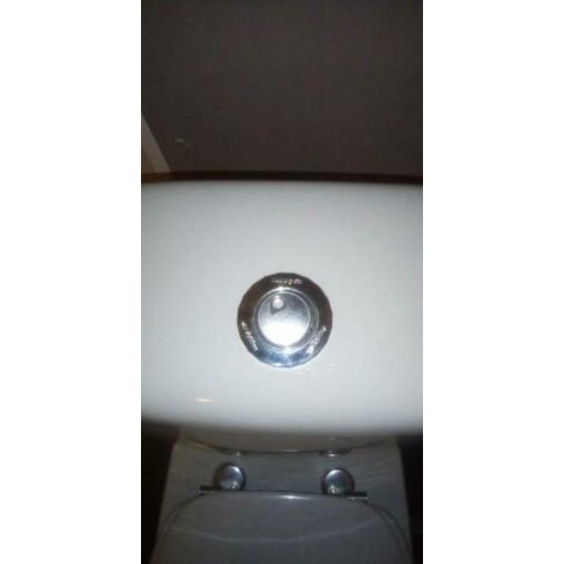 sphinx toilet pot