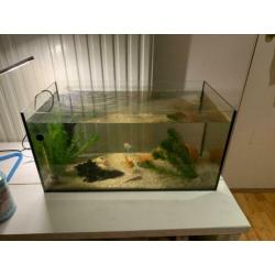 Aquarium