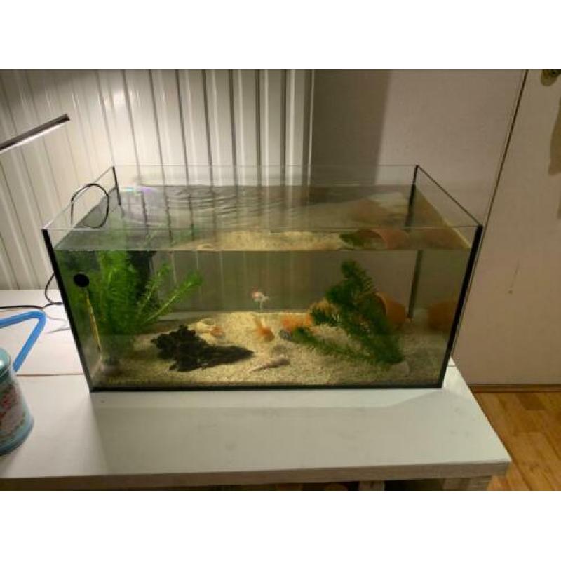 Aquarium