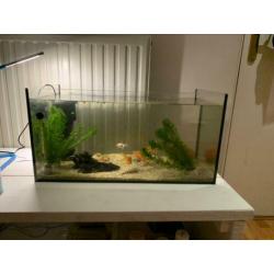 Aquarium