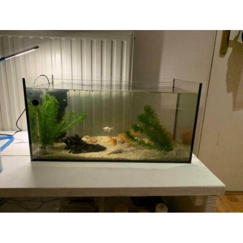 Aquarium