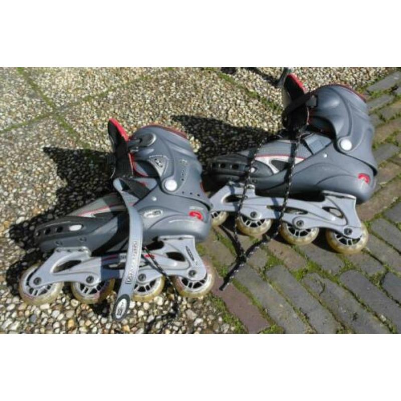 skeelers nijdam m 46