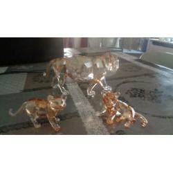 swarovski tijger met 2 jongen
