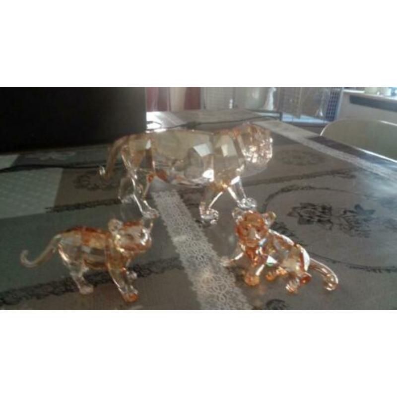 swarovski tijger met 2 jongen