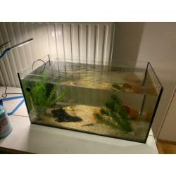 Aquarium