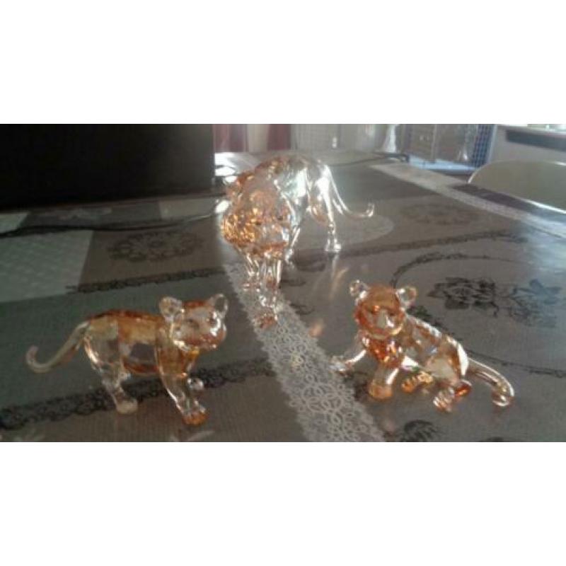 swarovski tijger met 2 jongen