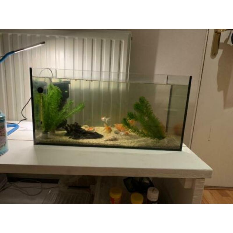 Aquarium