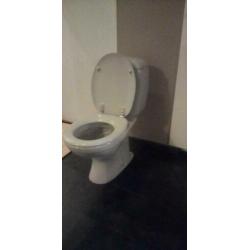sphinx toilet pot
