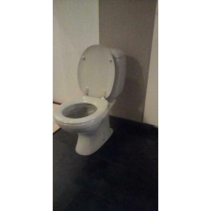 sphinx toilet pot