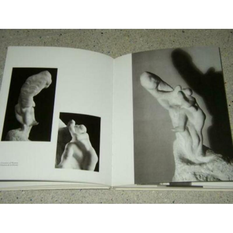 Rodin. Eros and Creativity'
