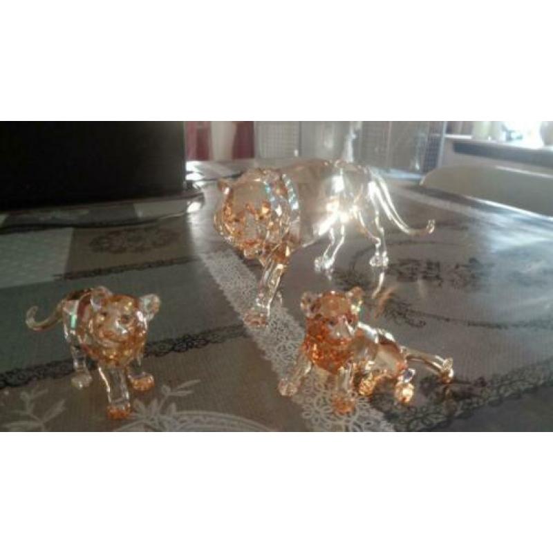 swarovski tijger met 2 jongen