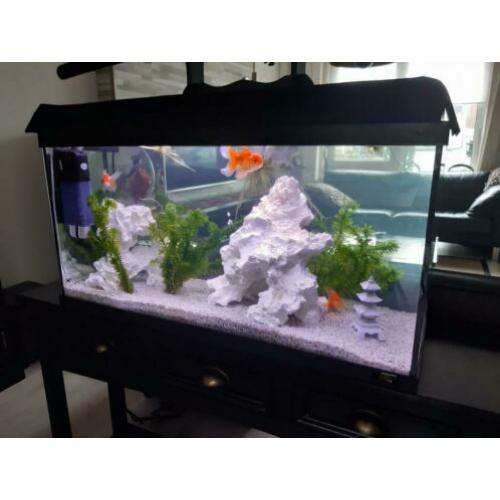 Leeg aquarium