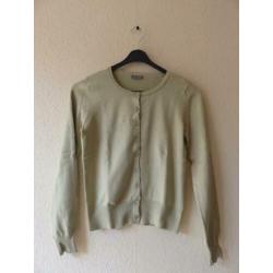 Ann Taylor cardigan