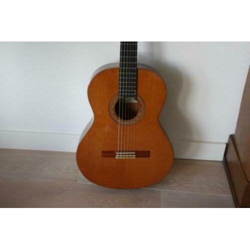 Gitaar