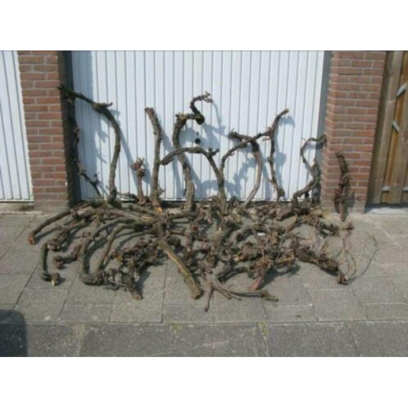 Gezocht gratis hout!