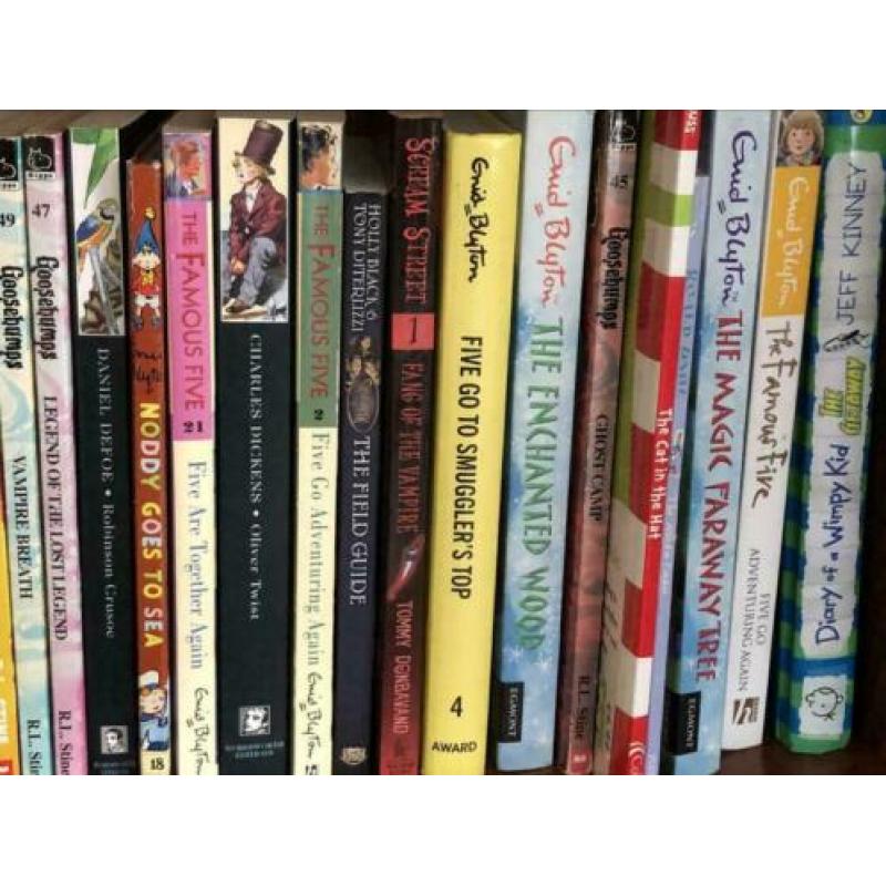 Grote set Boeken Engels Geronimo Stilton Wij Verhuizen!!