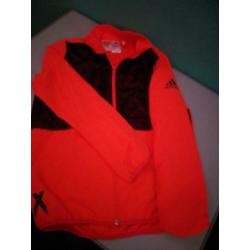 vinrose,McGregor, Tommy hilfiger, met kleding jongens