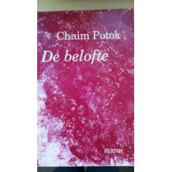 Chaim Potok-De gave van Asjer Lev