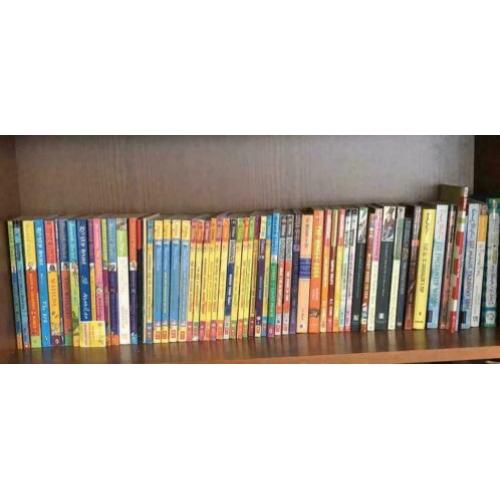 Grote set Boeken Engels Geronimo Stilton Wij Verhuizen!!