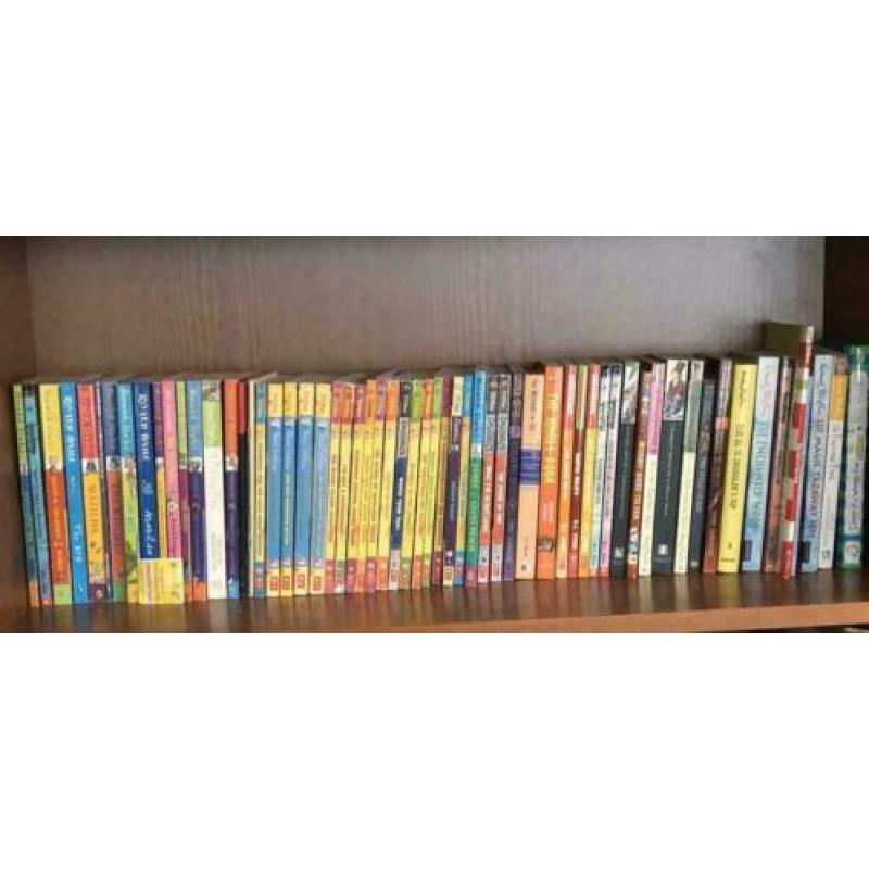 Grote set Boeken Engels Geronimo Stilton Wij Verhuizen!!