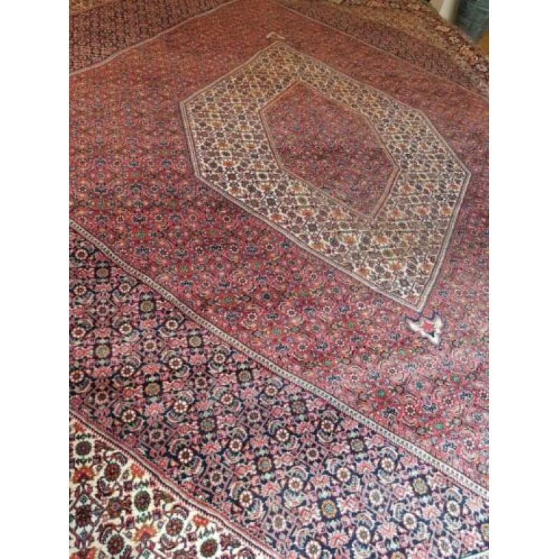 Handgeknoopt Bidjar maat:2.50x3.50 korting 50% Gratis