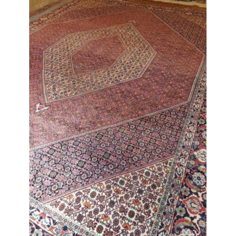 Handgeknoopt Bidjar maat:2.50x3.50 korting 50% Gratis