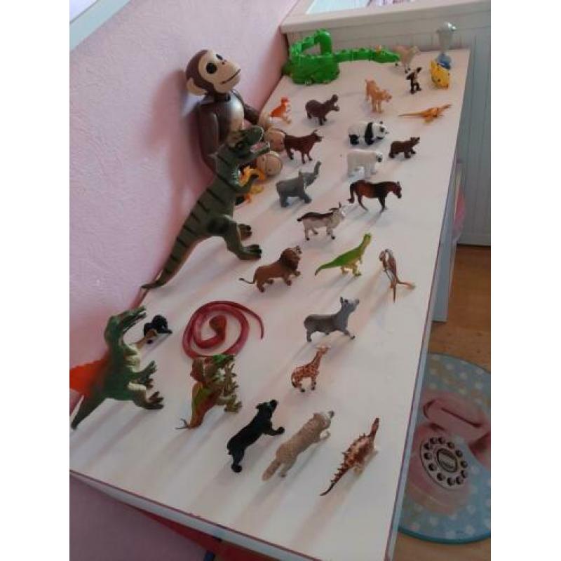 32 dieren