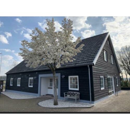 Woning te huur