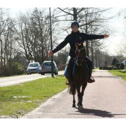 Zeer knappe, brave en kwaliteitsvolle Welsh pony!?