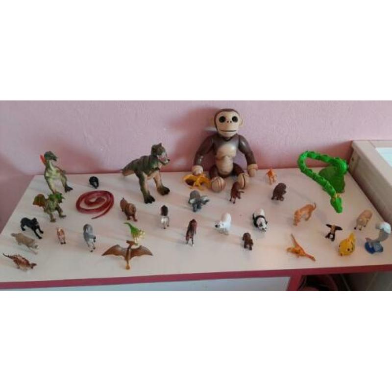 32 dieren