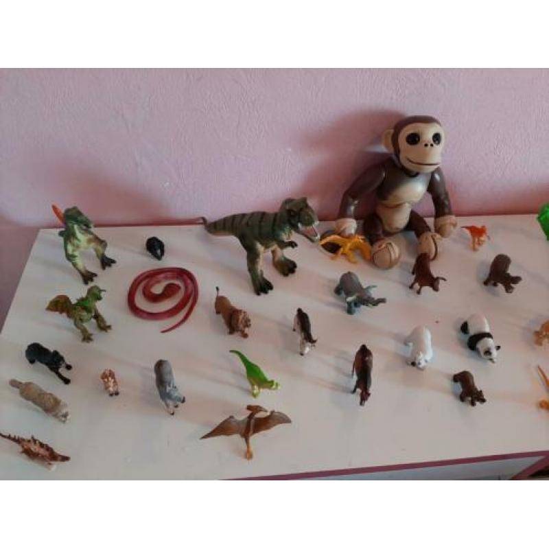 32 dieren