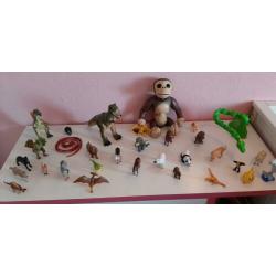 32 dieren