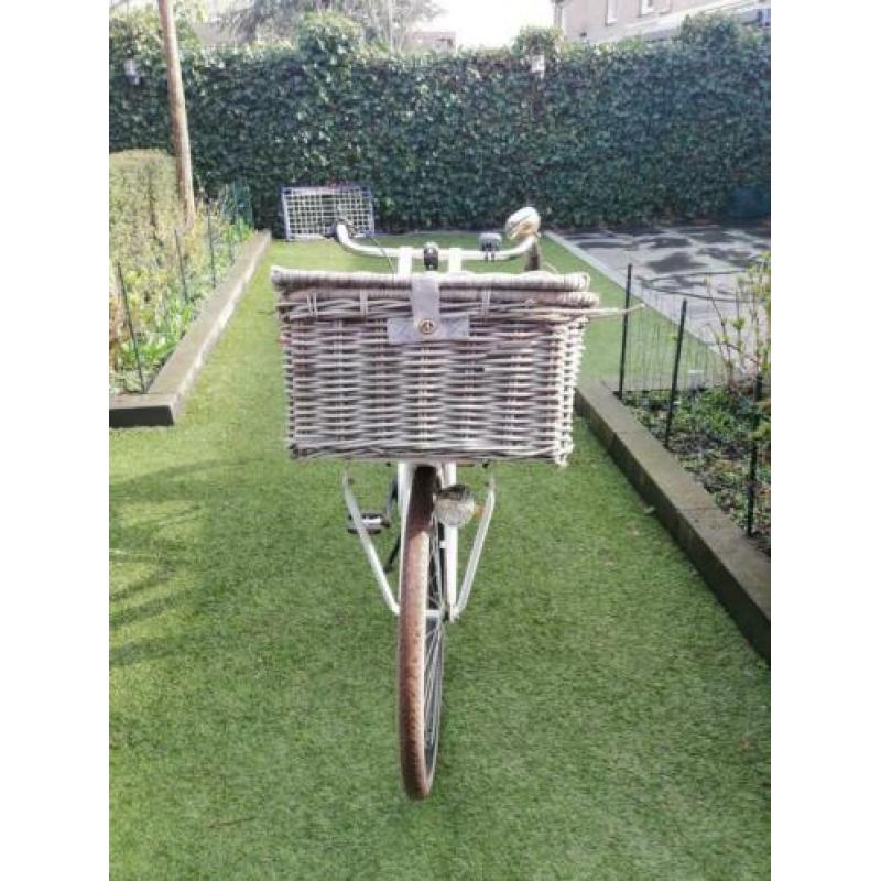 Raleigh transporter