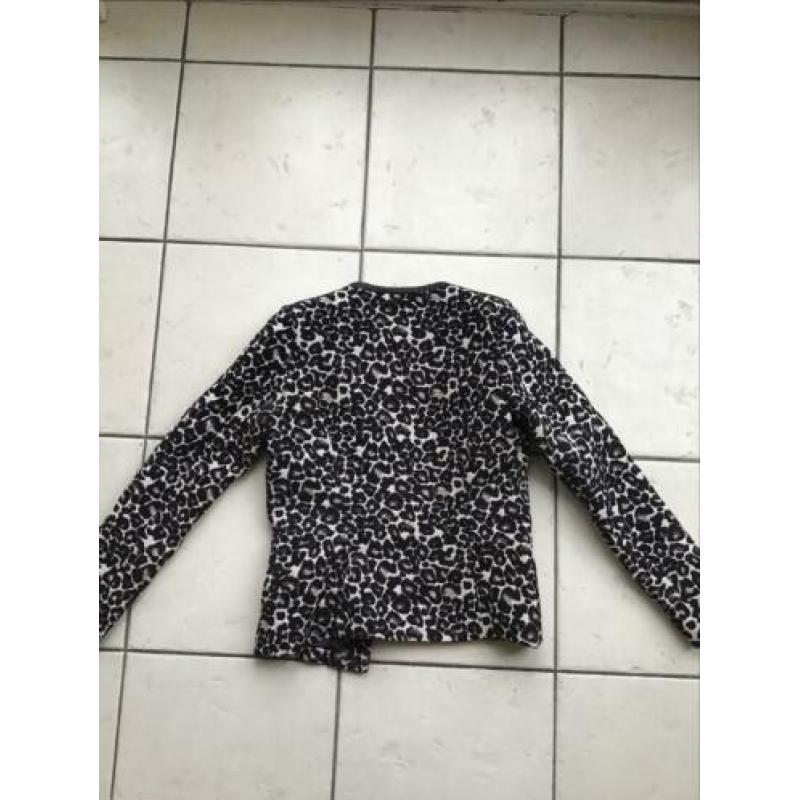Jasje maison scotch