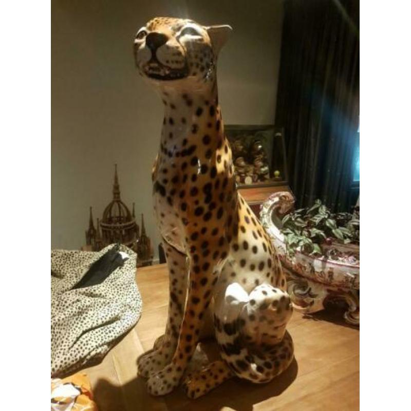 xl panter luipaard beeld bassano +1960 puntgaaf ! italia