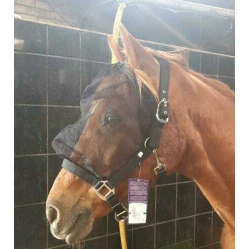 Halster met vaste vliegenkap/vliegenmasker COB Harry's horse
