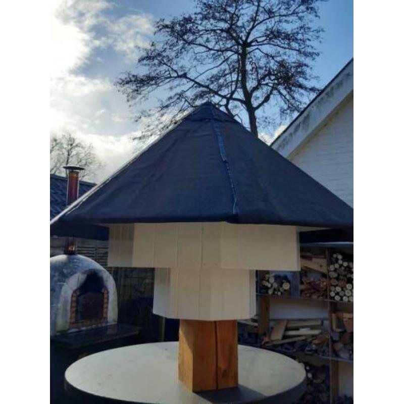 Zwaluwtil , huiszwaluw