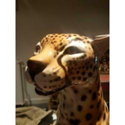 xl panter luipaard beeld bassano +1960 puntgaaf ! italia