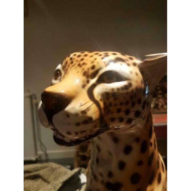 xl panter luipaard beeld bassano +1960 puntgaaf ! italia